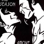 Mad Season