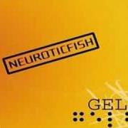 Neuroticfish