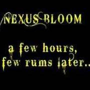 Nexus Bloom