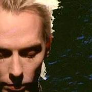 Peter Murphy