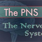 Pns