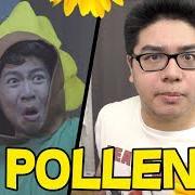 Pollen