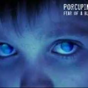 Porcupine Tree