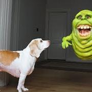 Slimer