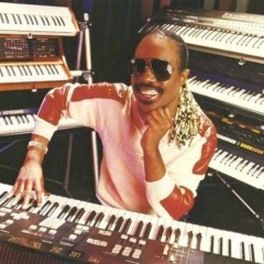 Stevie Wonder