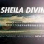 The Sheila Divine