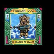 Tubilah Dog