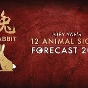 Year Of The Rabbit