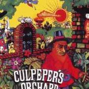 Culpepers Orchard