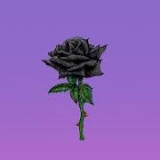 Black Rose