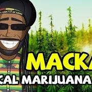 Macka B