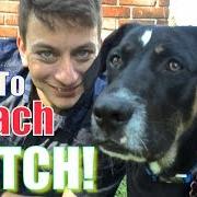 Fetch