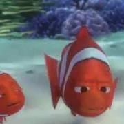 Finding Nemo