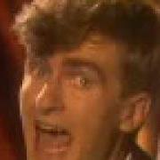 Split Enz