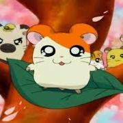 Hamtaro