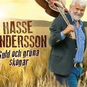 Hasse Andersson