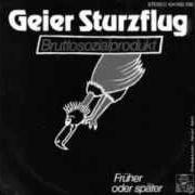 Geier Sturzflug