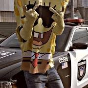 A.C.A.B.