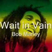 Wait In Vain