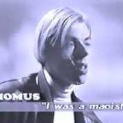 Momus