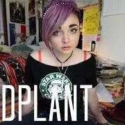 Eddplant