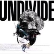 Undivide