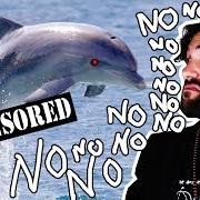 I Delfini