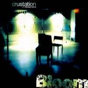 Crustation