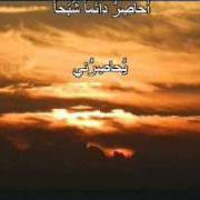 Darwich
