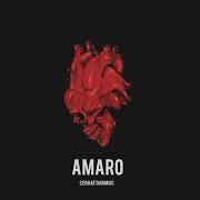 Amaro