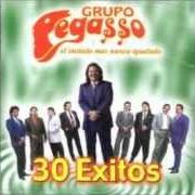 Grupo Pegasso