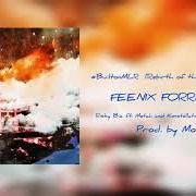 Feenix Forreal