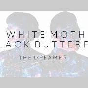 White Moth Black Butterfly