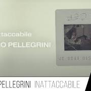 Maestro Pellegrini