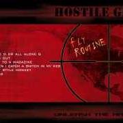 Hostile Groove