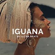 Iguana