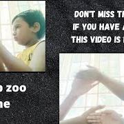 Zap Zoo