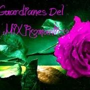 Guardianes Del Amor